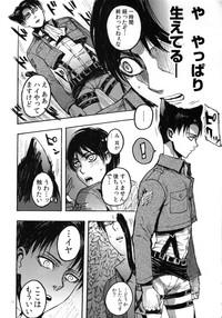 Nekomimi Heichou ga Hatsujoushiteru Dake no Hon 8