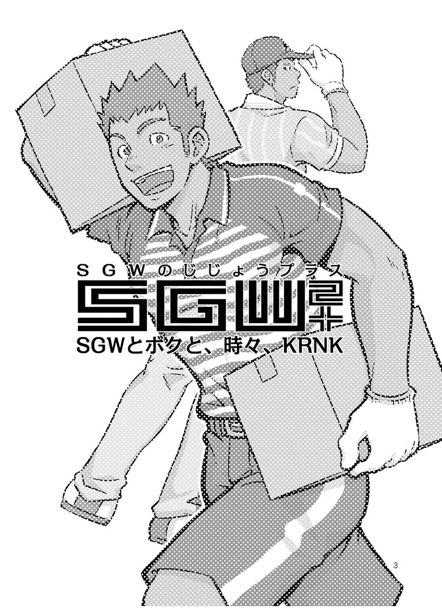 Boy SGW2+ Czech - Page 2