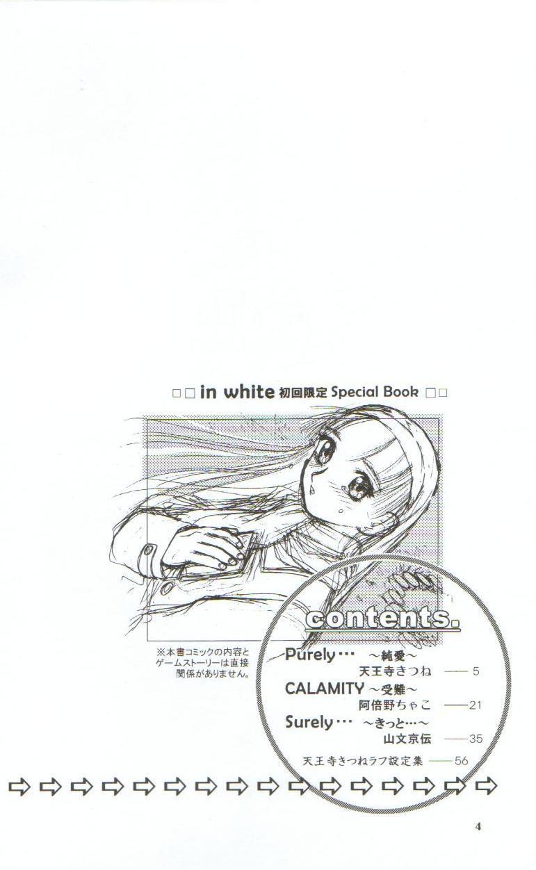 in white hokai Gentei～special book～ 2