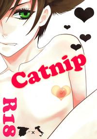 Catnip 1