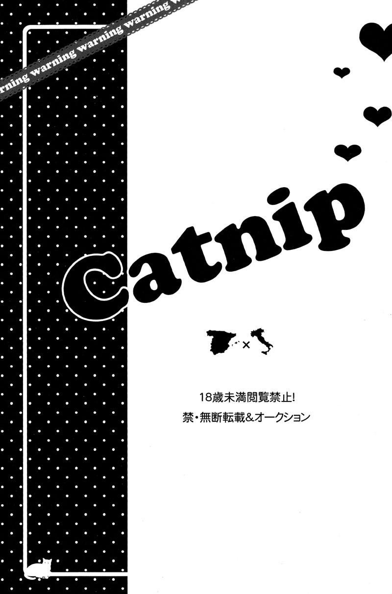 Catnip 1