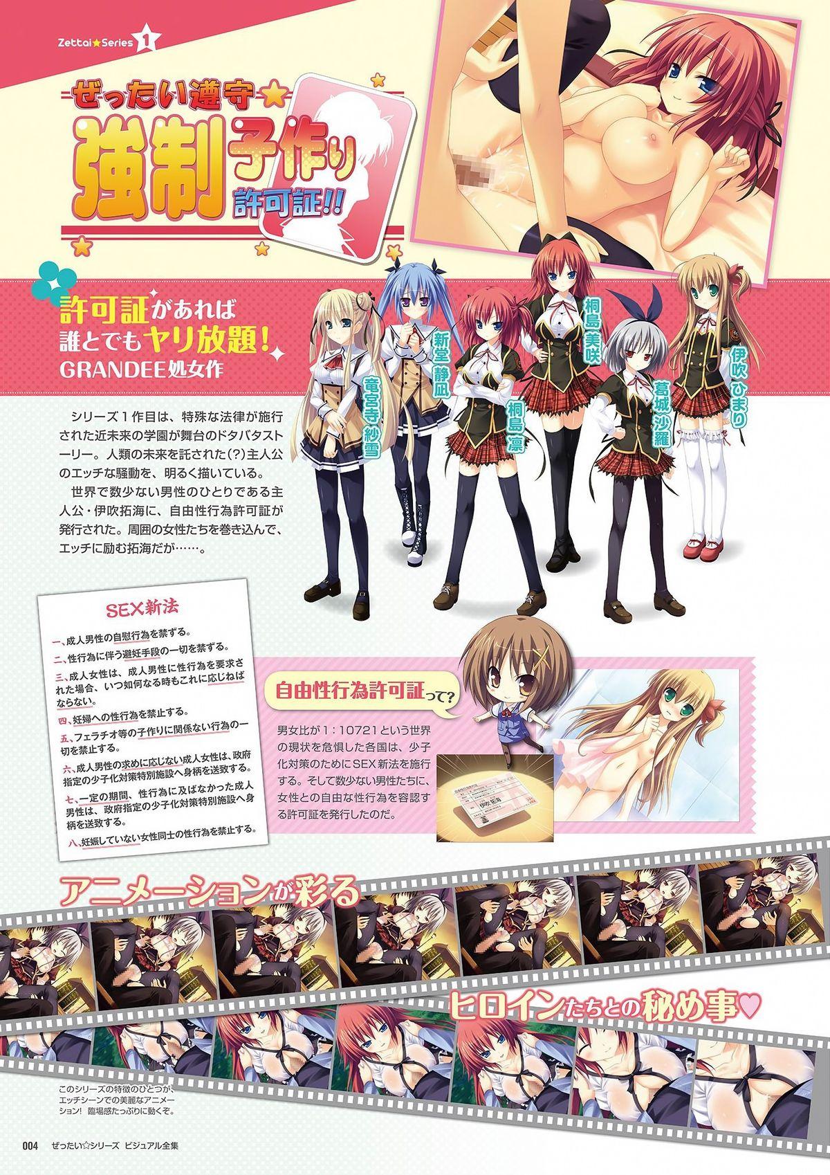 Zettai Series Visual Zenshuu 5