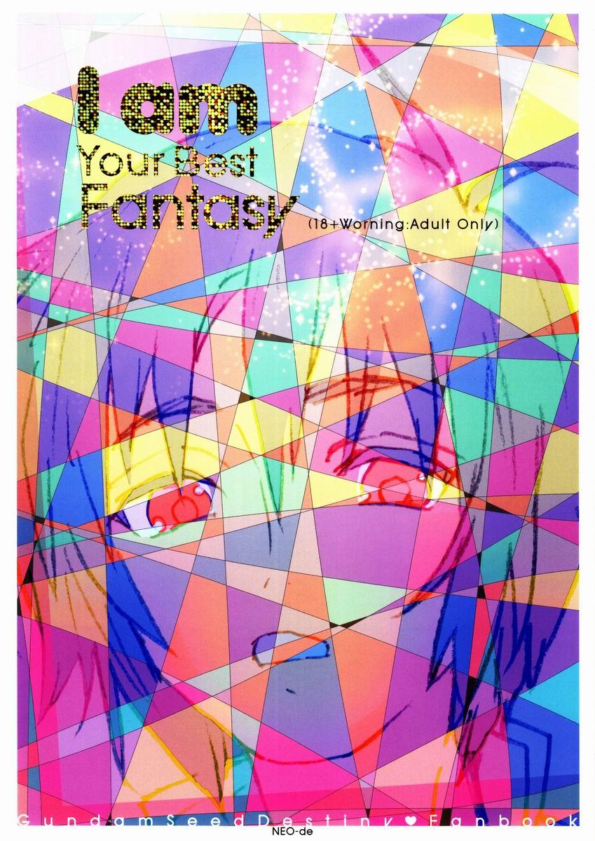 Sislovesme I am your best fantasy - Gundam seed destiny Nasty - Picture 1