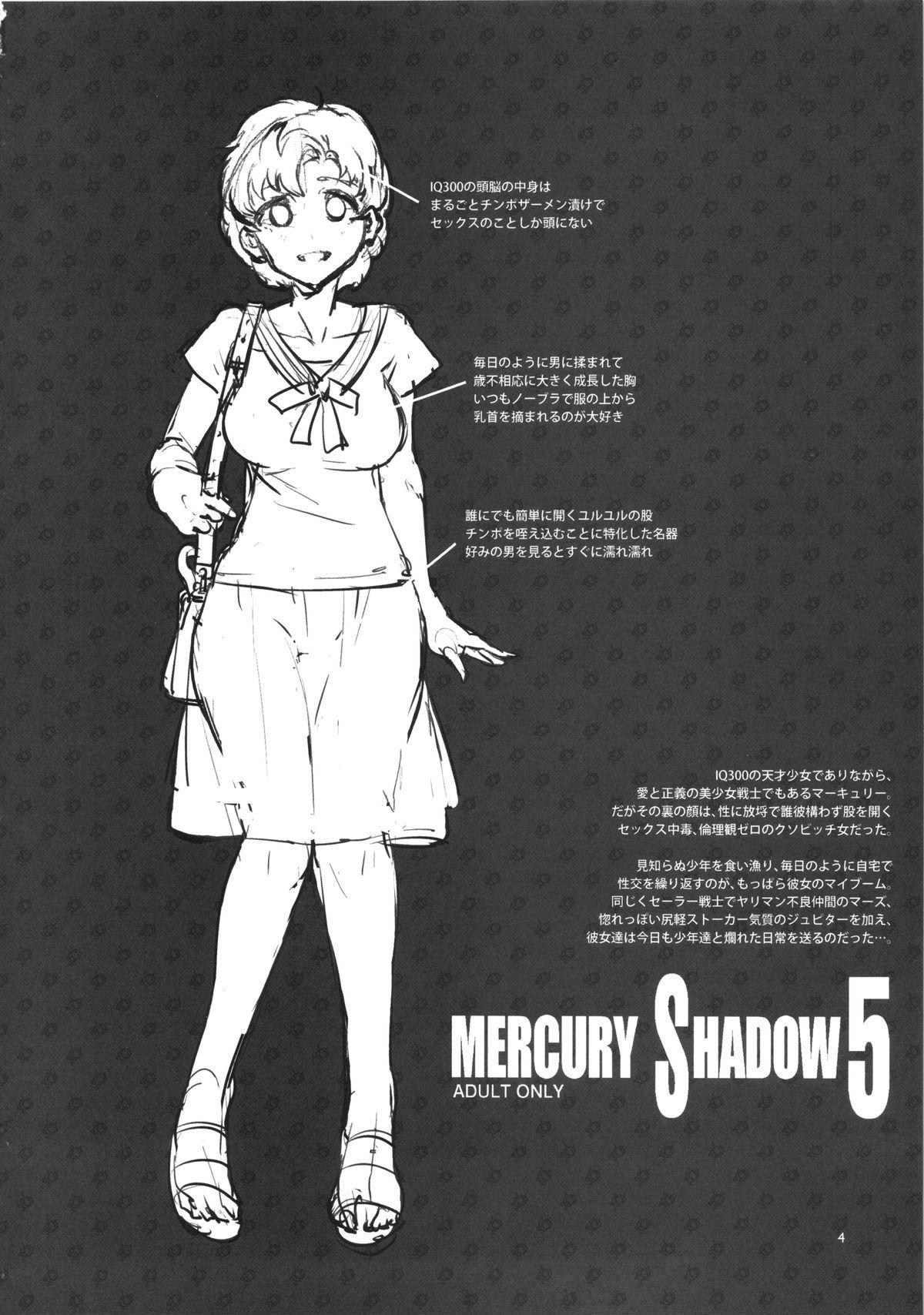 MERCURY SHADOW 5 2