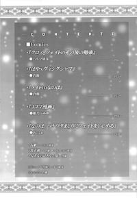 Lyrical Shoujo Neun 3
