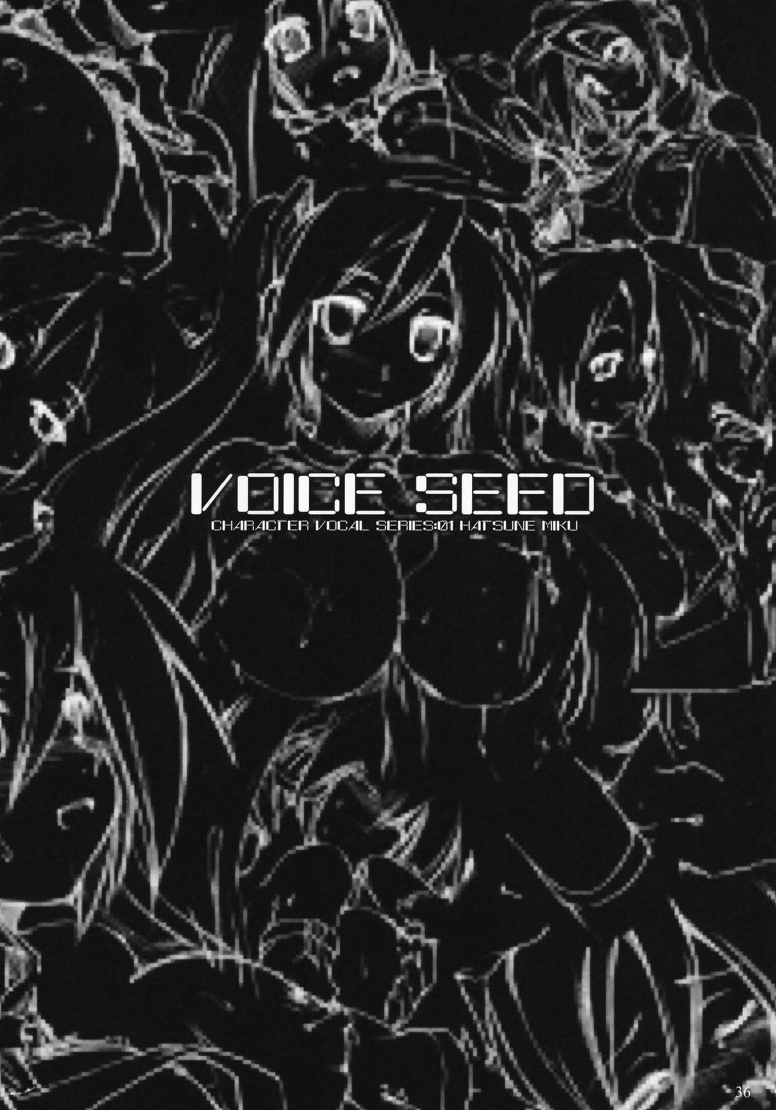 Voice Seed 34