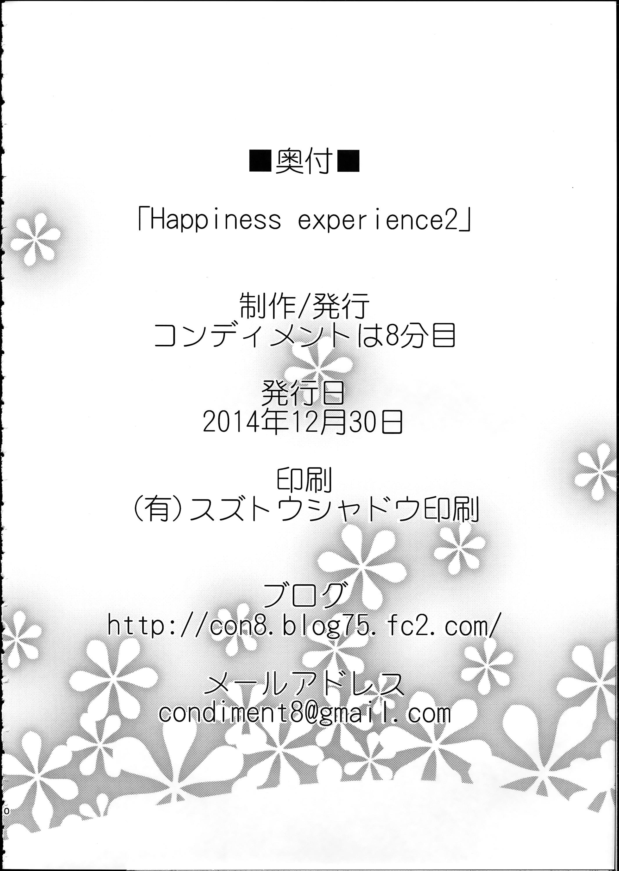 Happiness experience2 28