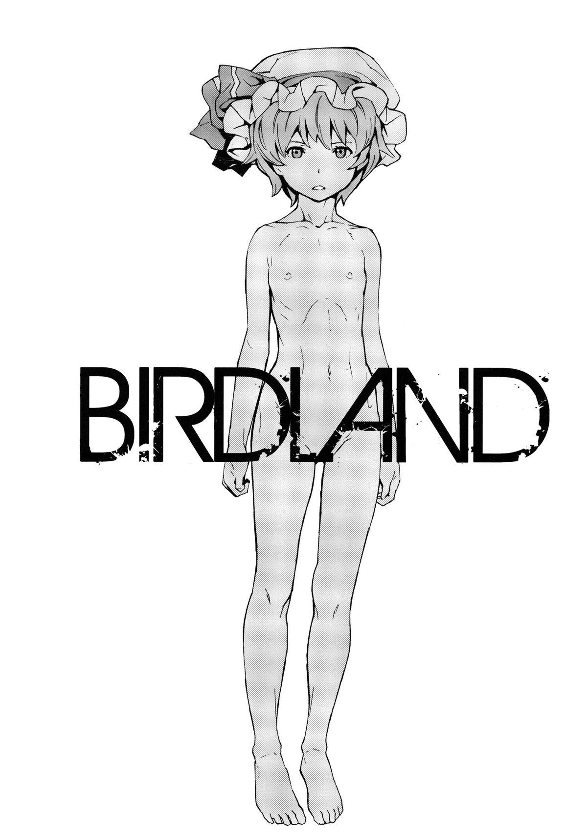 BIRDLAND 3