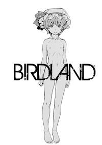 BIRDLAND 4
