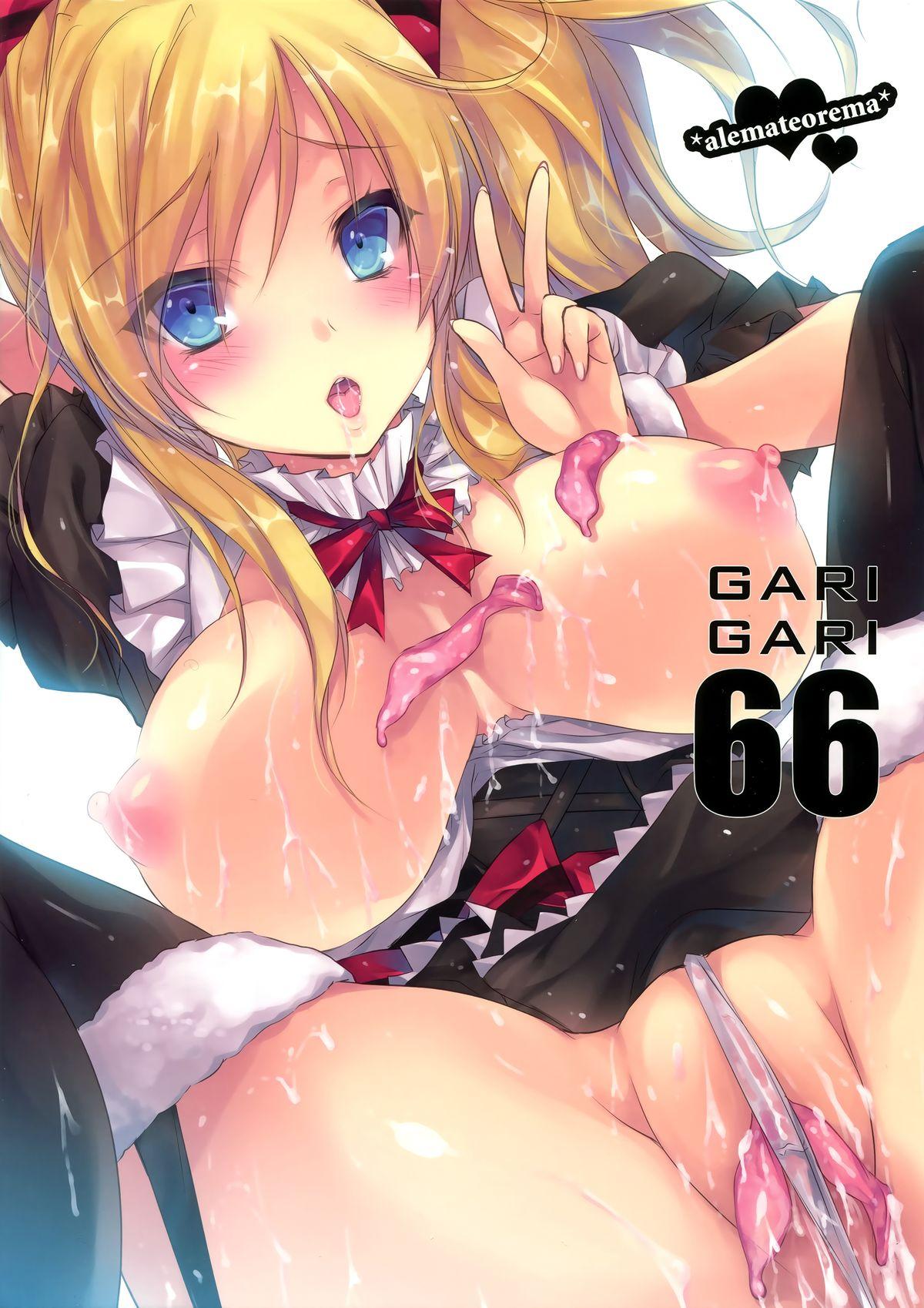 GARIGARI 66 2