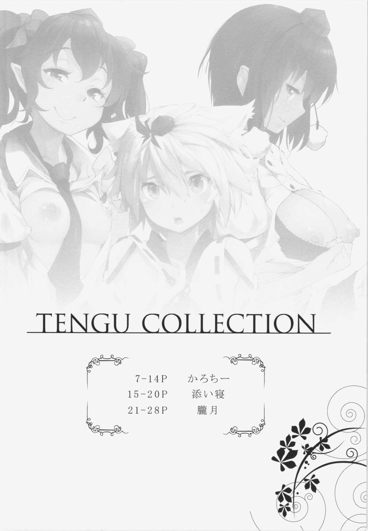 TENGU COLLECTION 5