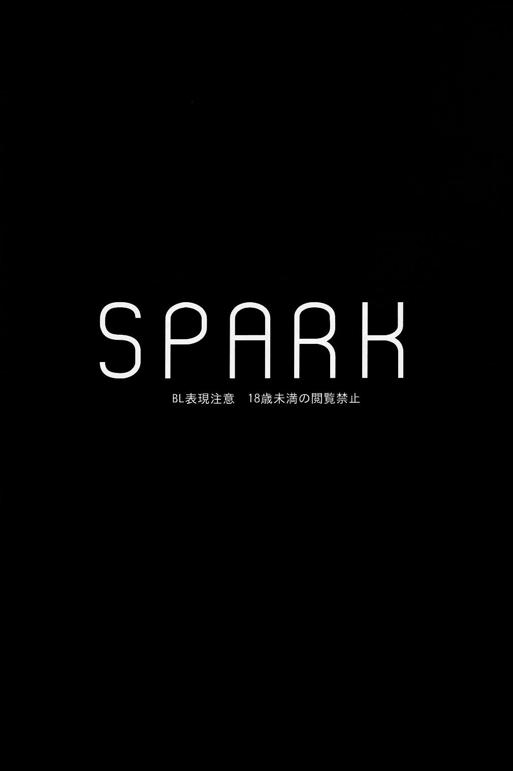 SPARK 1