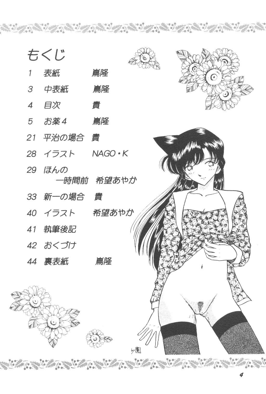 Boy Fuck Girl HOHETO 24 - Detective conan Oldvsyoung - Page 3