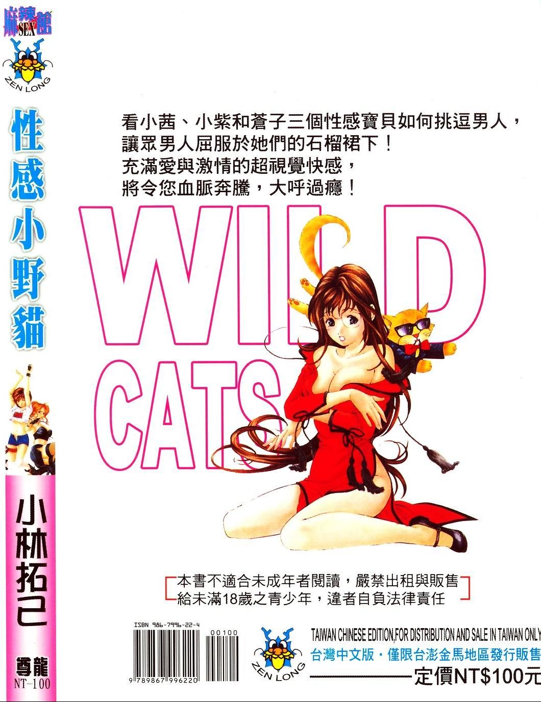Wild Cats | 性感小野貓 1