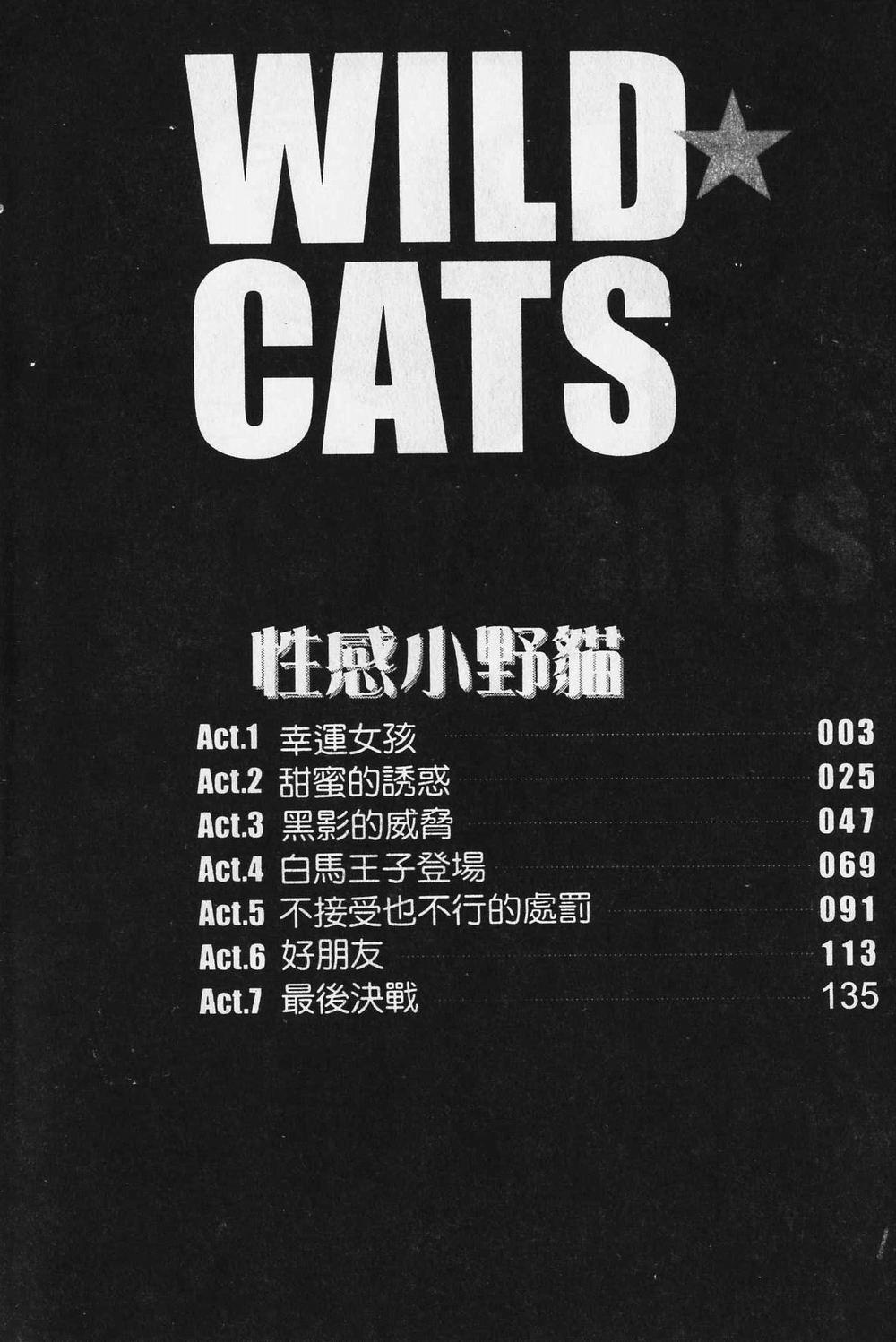Hot Fuck Wild Cats | 性感小野貓 Fetiche - Page 7