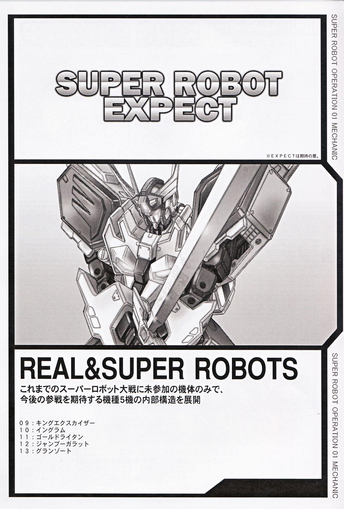 SUPER ROBOT OPERATION 01 41
