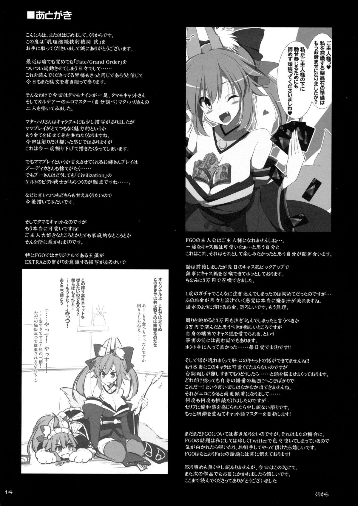 Hardcore Porn Free Nyuuri Keizoku Kyousha Kikan Ni - Fate grand order Blackwoman - Page 13