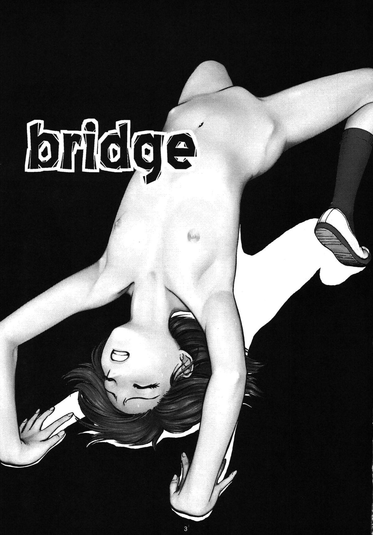 Hotel Bridge Ass - Page 4