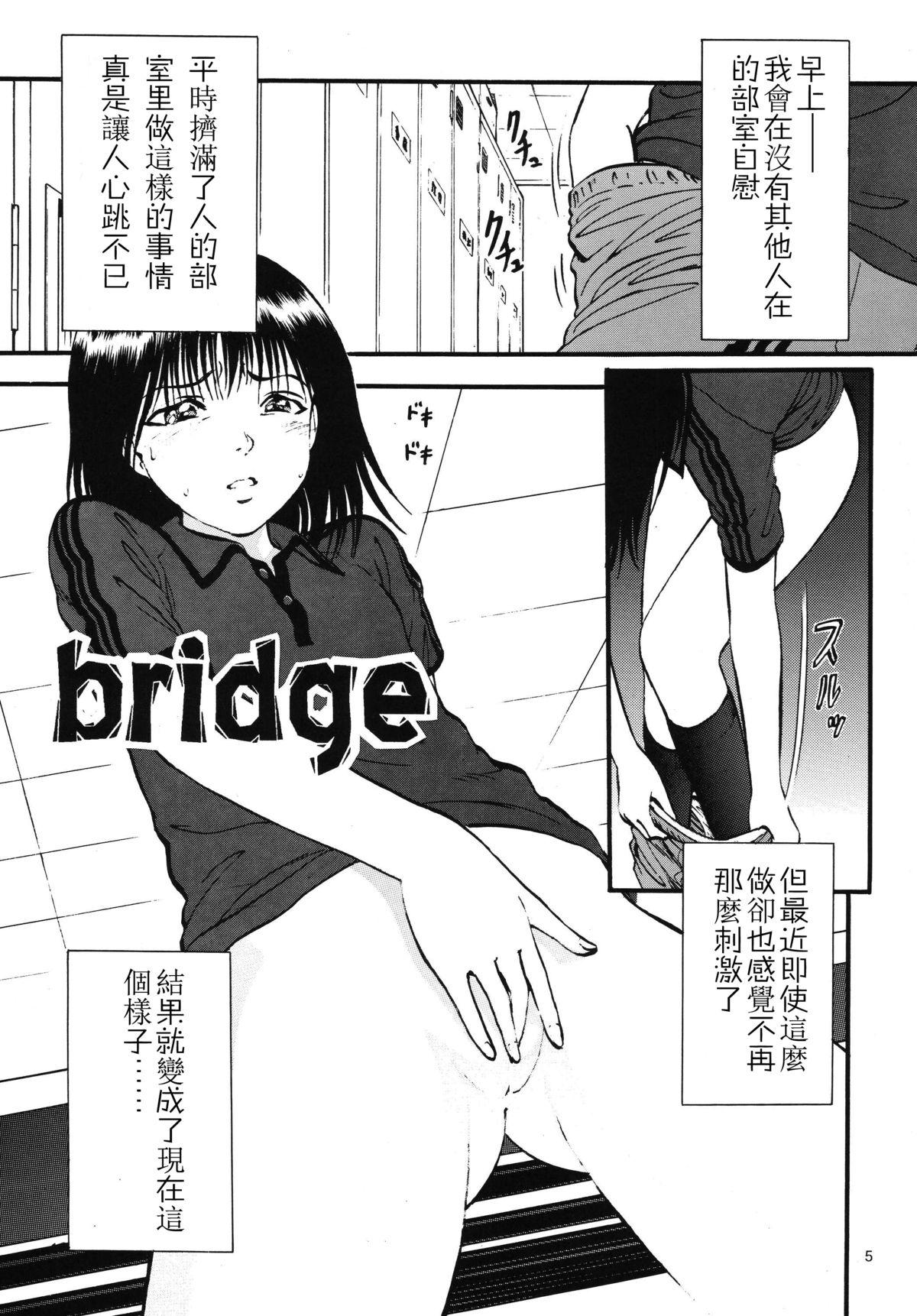 Bridge 5