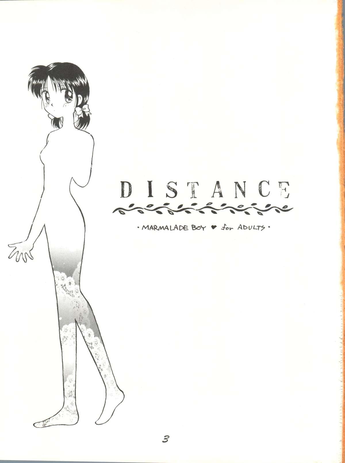 Desnuda Distance - Marmalade boy Erotic - Page 3