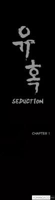 Seduction Ch.1-12 1
