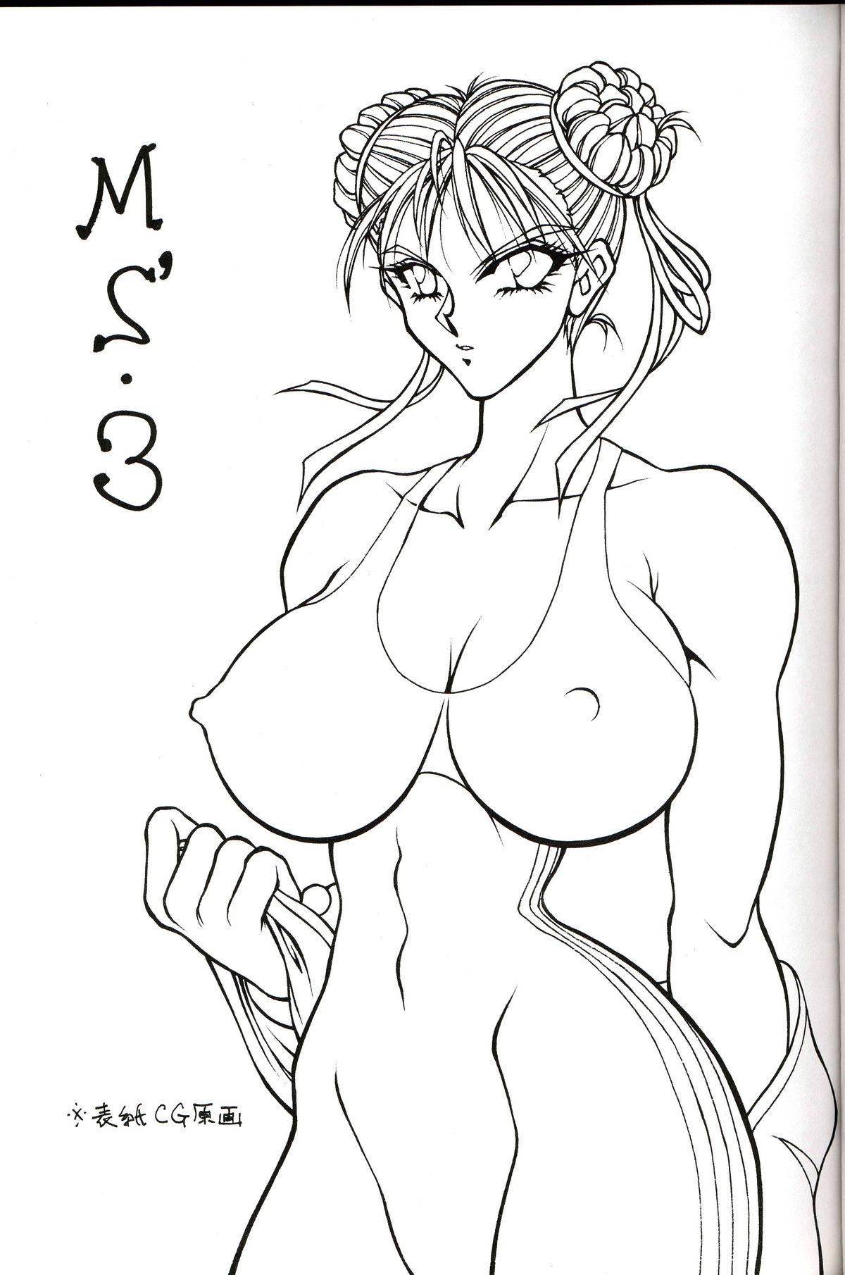 Usa M'S 3 - Street fighter Huge Tits - Page 2