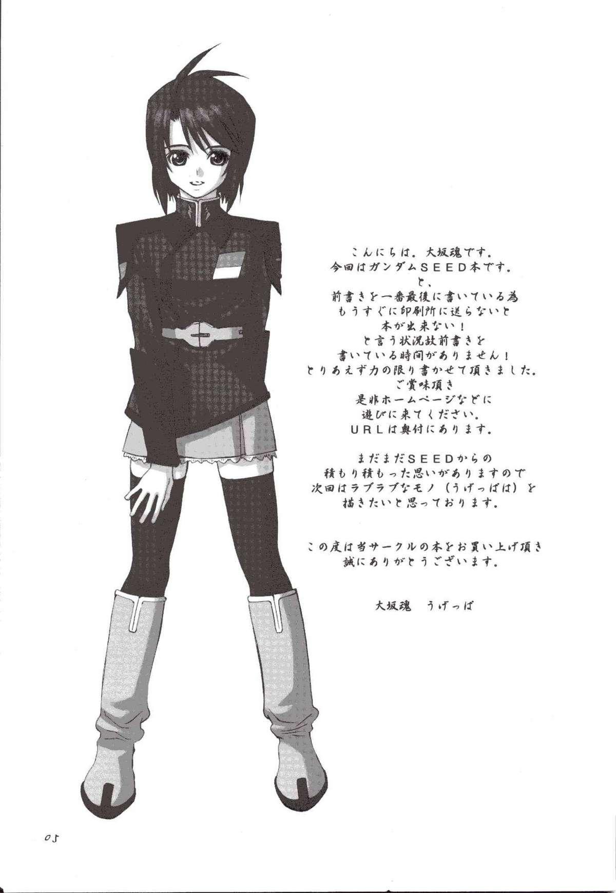 Joi Uganda - Gundam seed destiny Novinho - Page 4