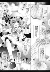 Maid-san no Himitsu no Omotenashi 3