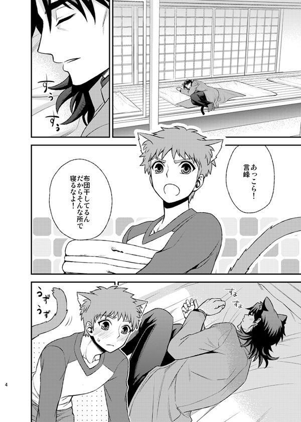 Rough Sex Nyan Nyan Network - Fate stay night Blondes - Page 6