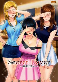 Secret Lover 2