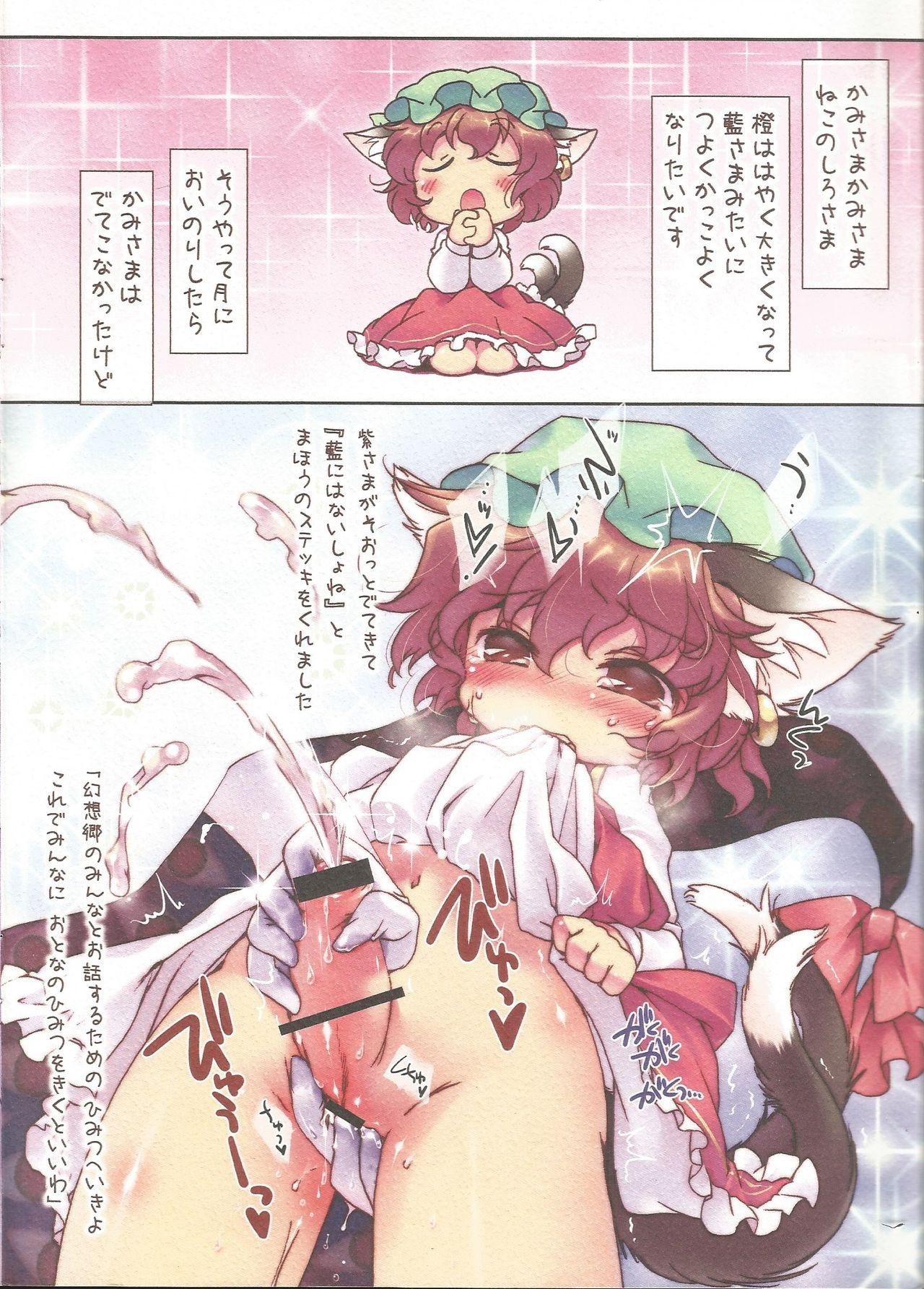 Ametuer Porn Chenko! - Touhou project Arabe - Page 2