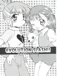 Evolution Slash 3