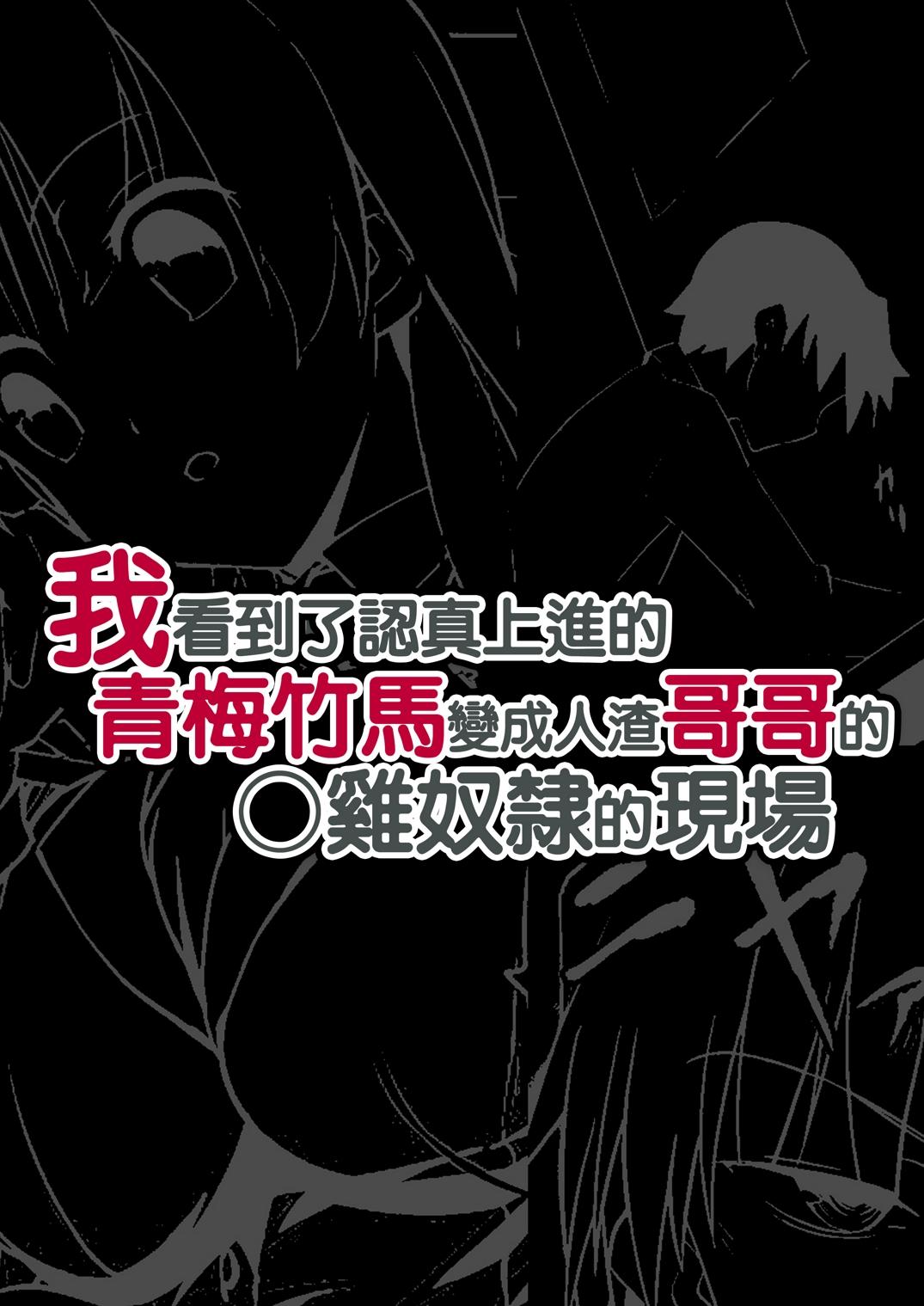 Shikkari Mono no Osananajimi ga Kuzu Aniki no Ochinpo Dorei ni Natteru Genba o Mita Ore 2