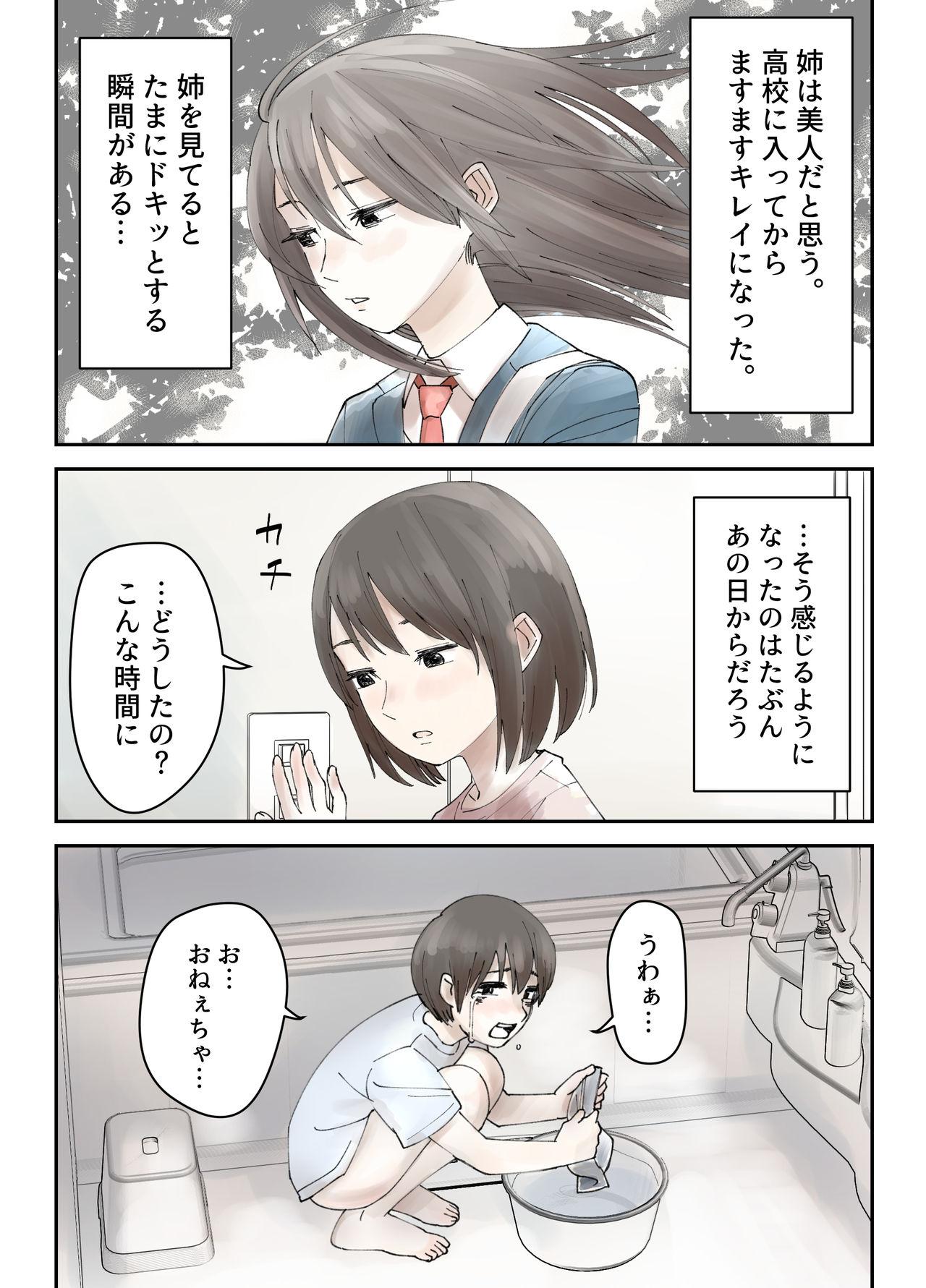 Jav Boku no Daisuki na Ane ga Nande Anna Yatsu ni...... Tribbing - Page 5