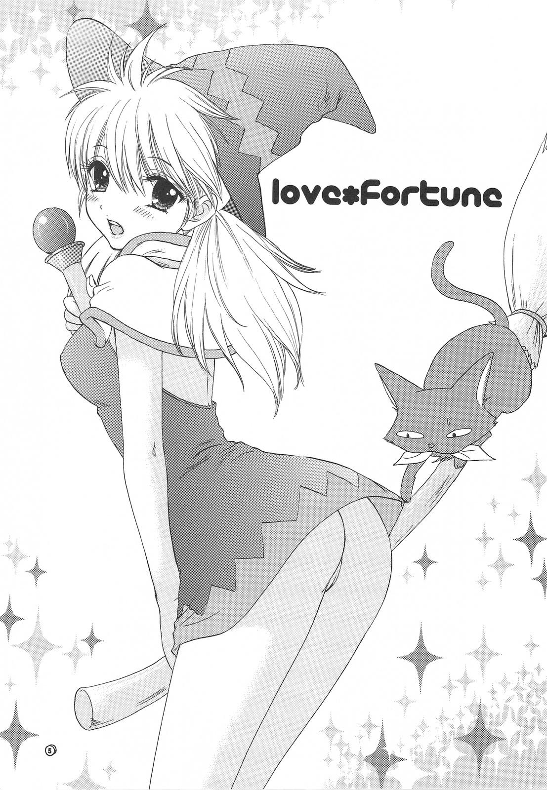 Love Fortune 1