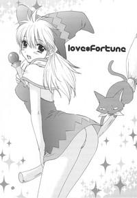 Love Fortune 2