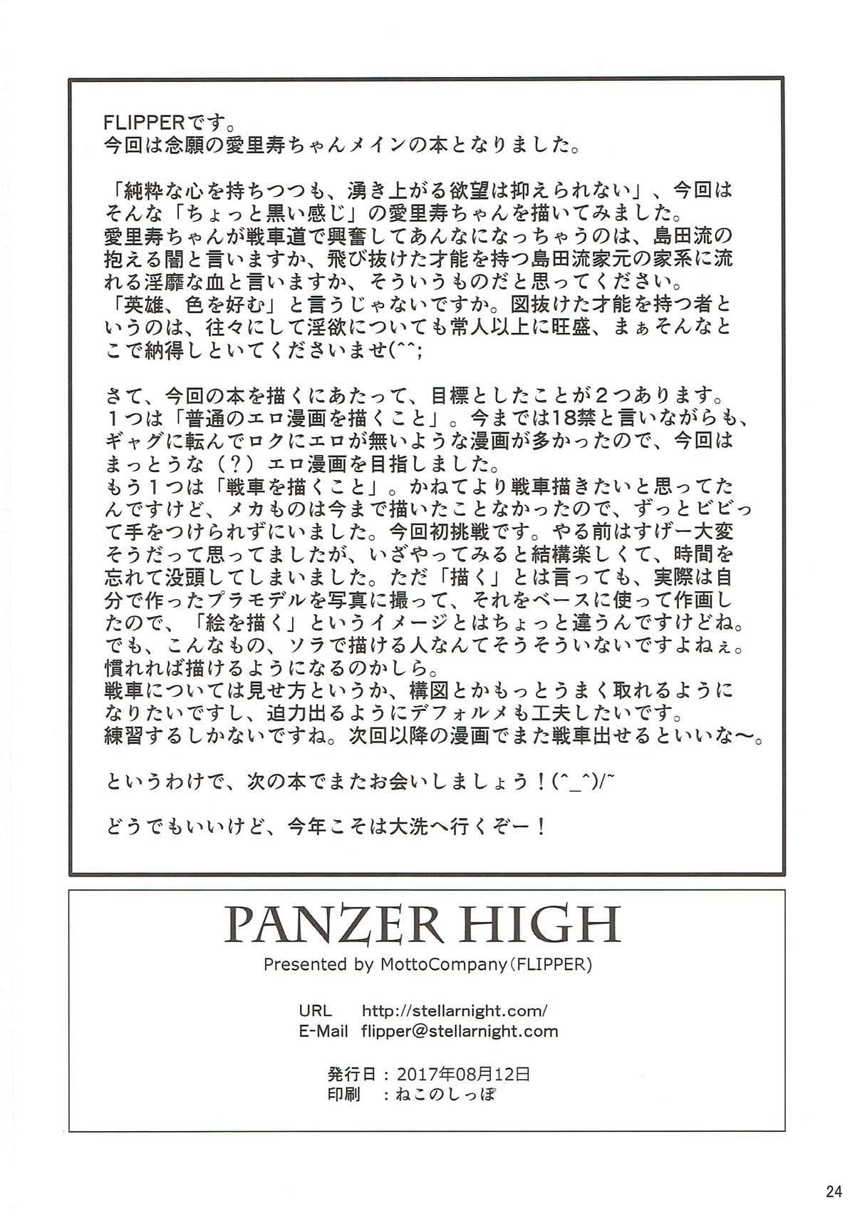 PANZER HIGH 22