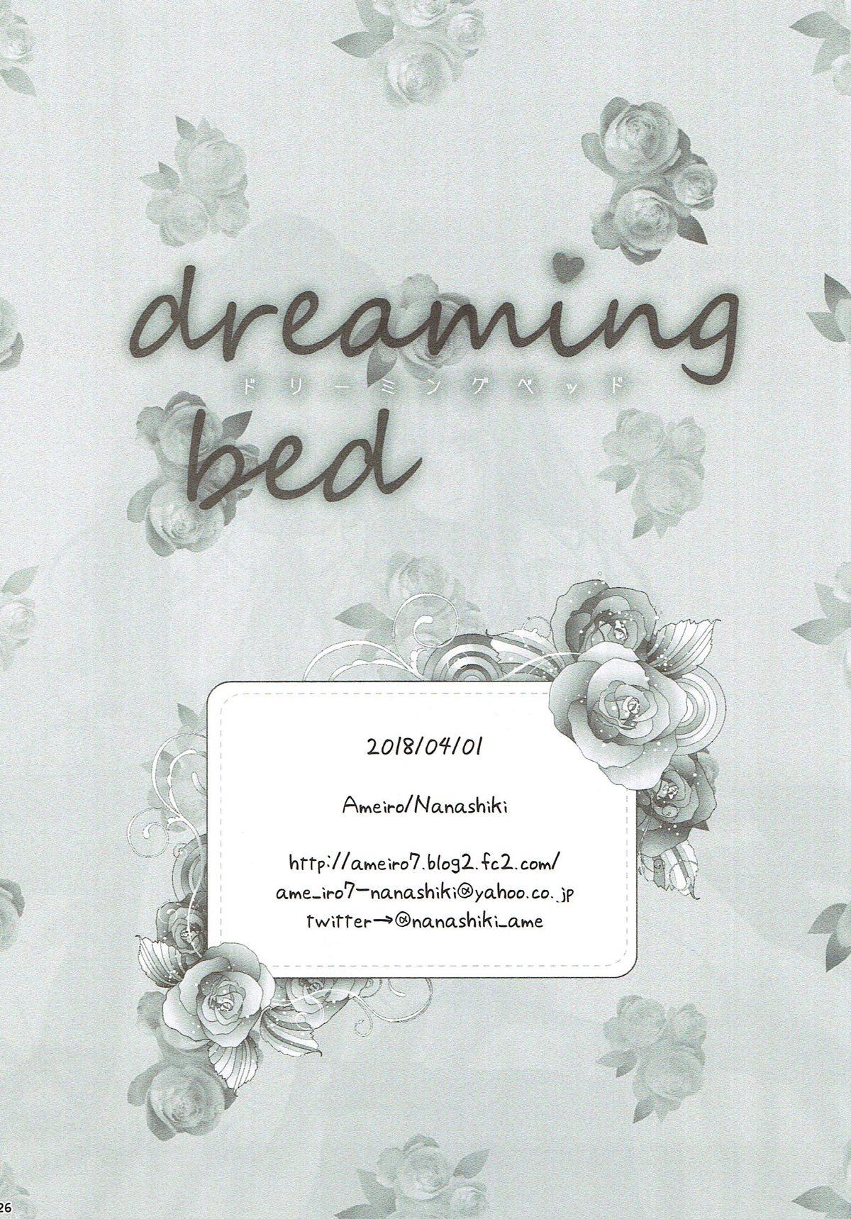 dreaming bed 17