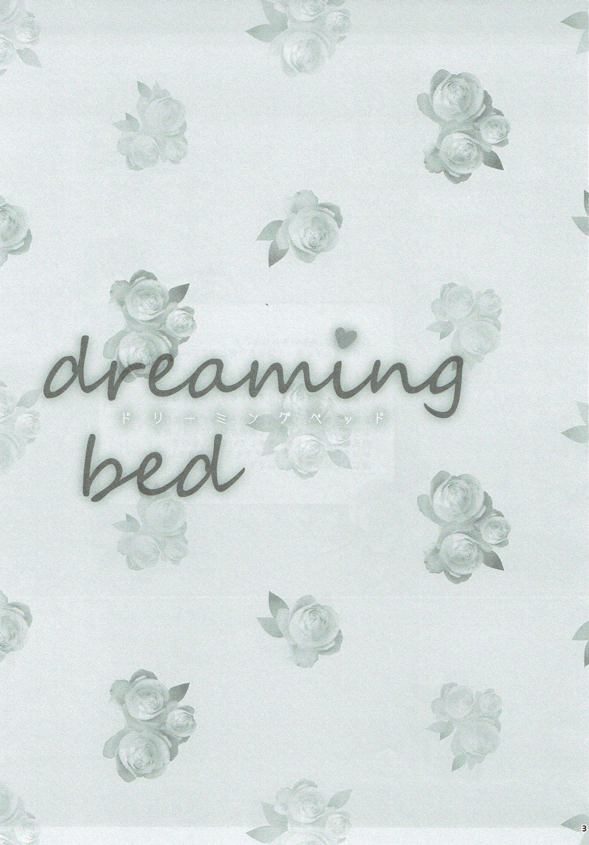 dreaming bed 1