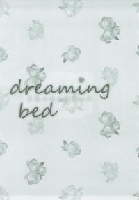 dreaming bed 2