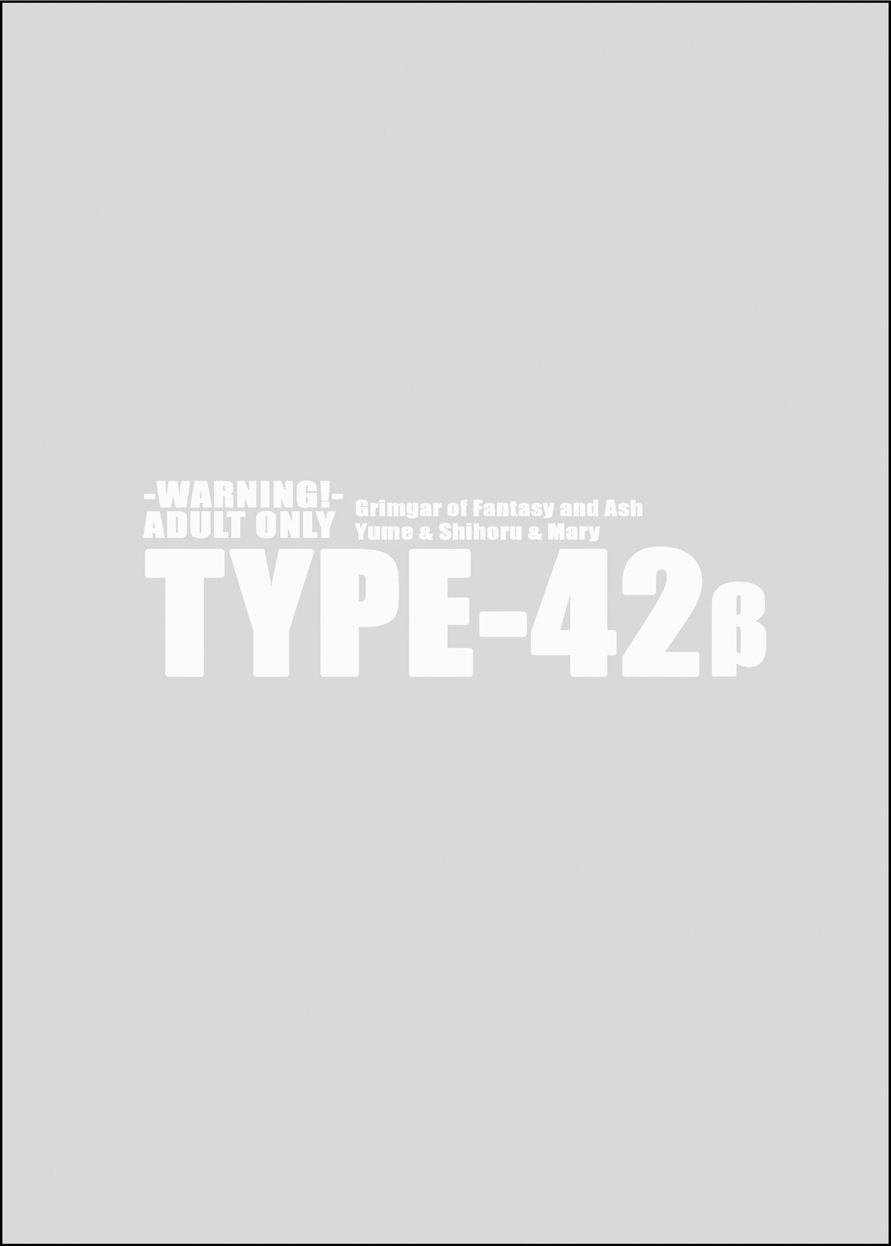 TYPE-42β 11