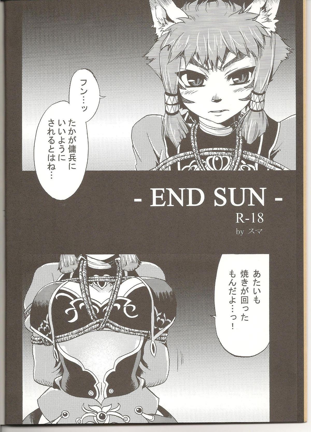 END SUN 4