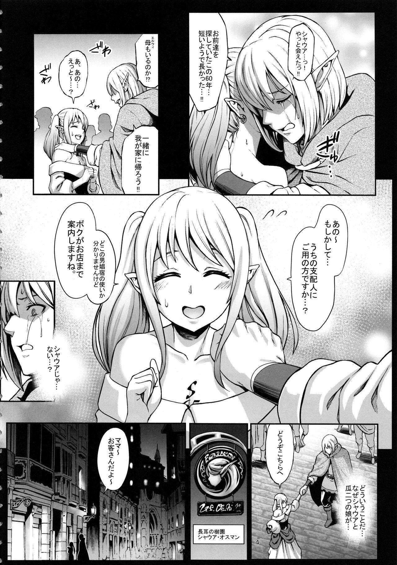 Gay Masturbation Houjou no Reizoku Elf 3 - Original Pigtails - Page 5