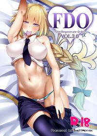 FDO Fate/Dosukebe Order VOL.3.0 | FDO Fate/Degenerate Order VOL.3.0 1