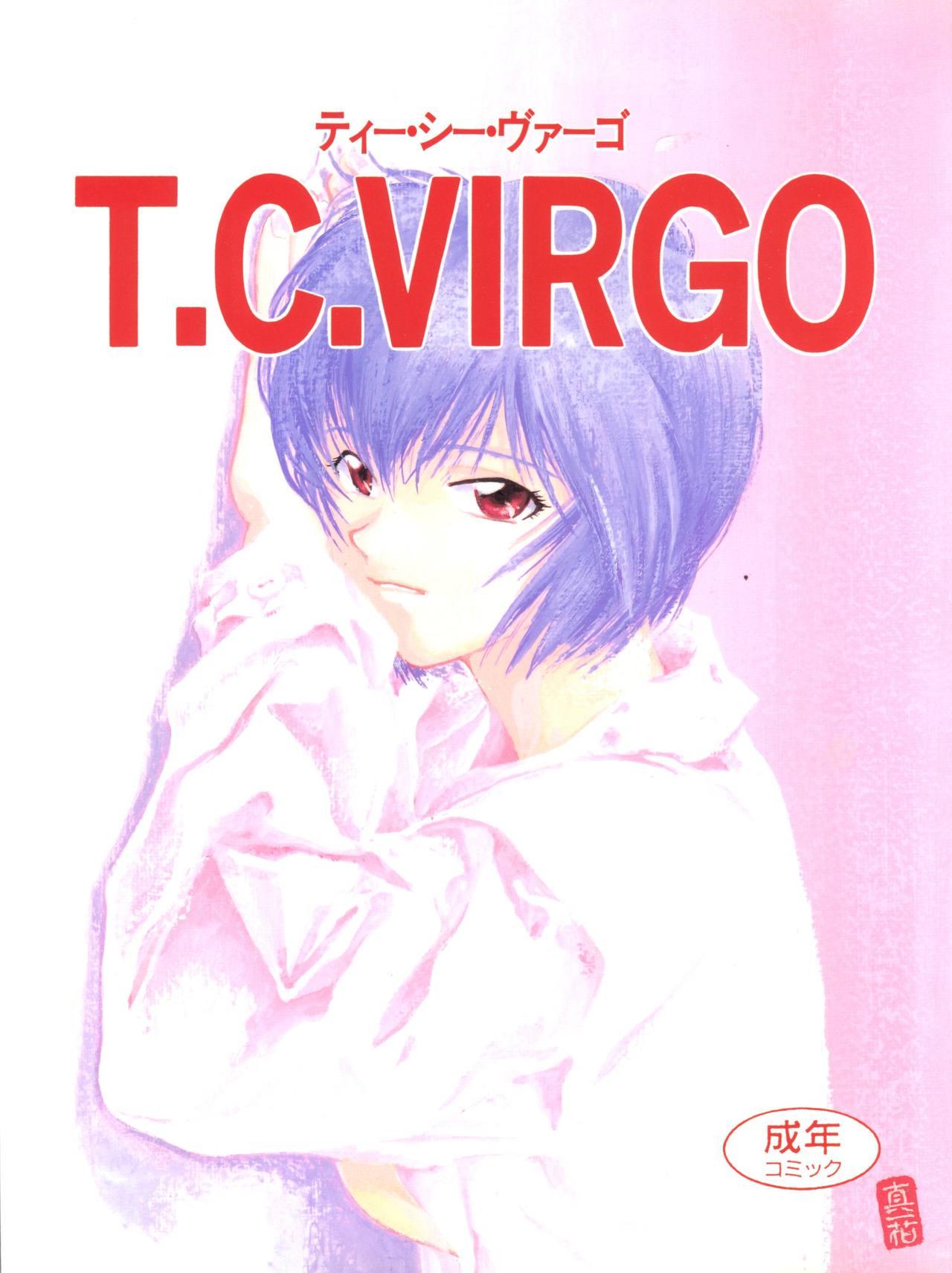 Consolo T.C.VIRGO - Neon genesis evangelion Slayers Tobe isami Bakuretsu hunters Spying - Page 1