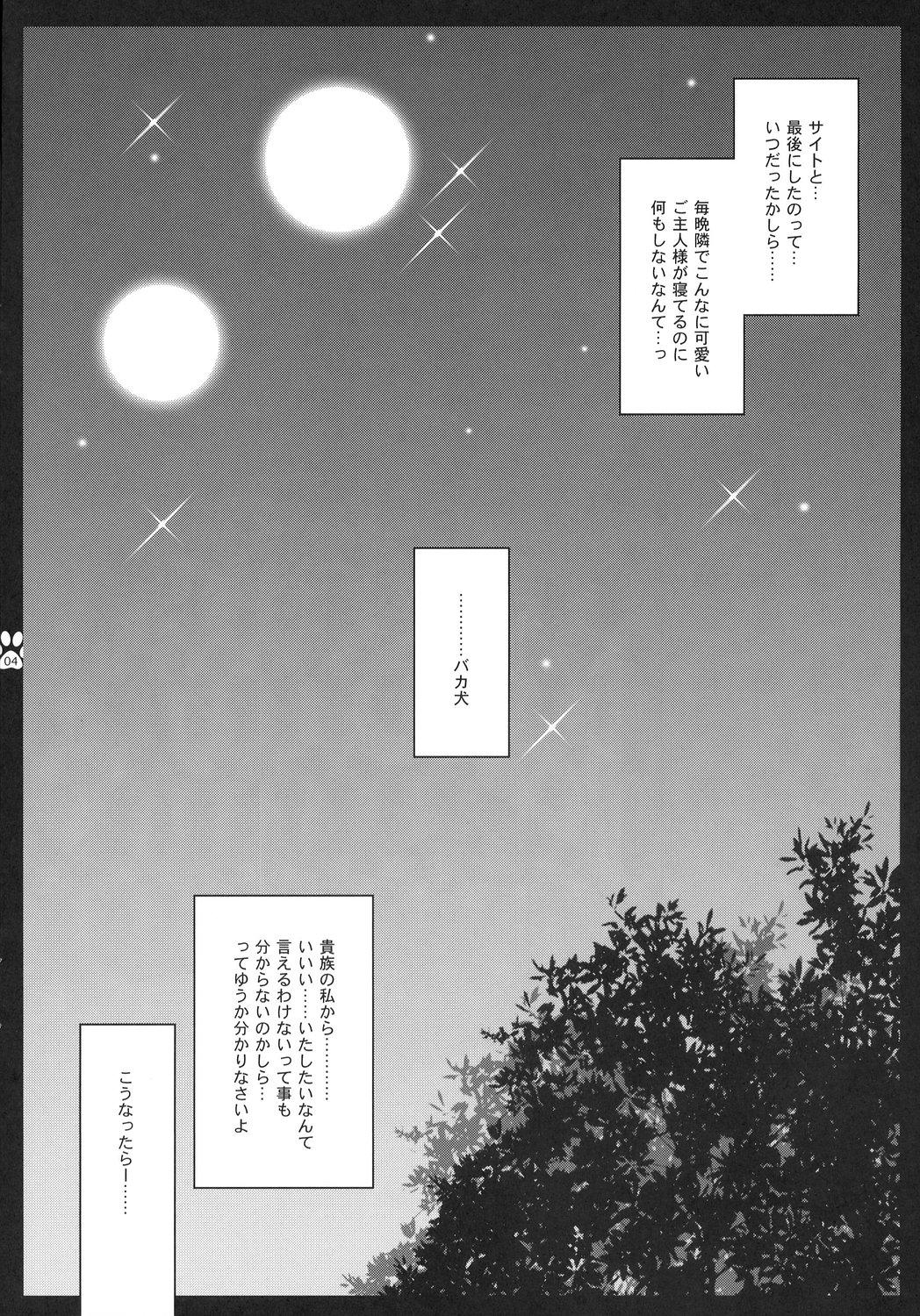 Friends Sunao Sukitteii Nasai! - Zero no tsukaima Fishnet - Page 3