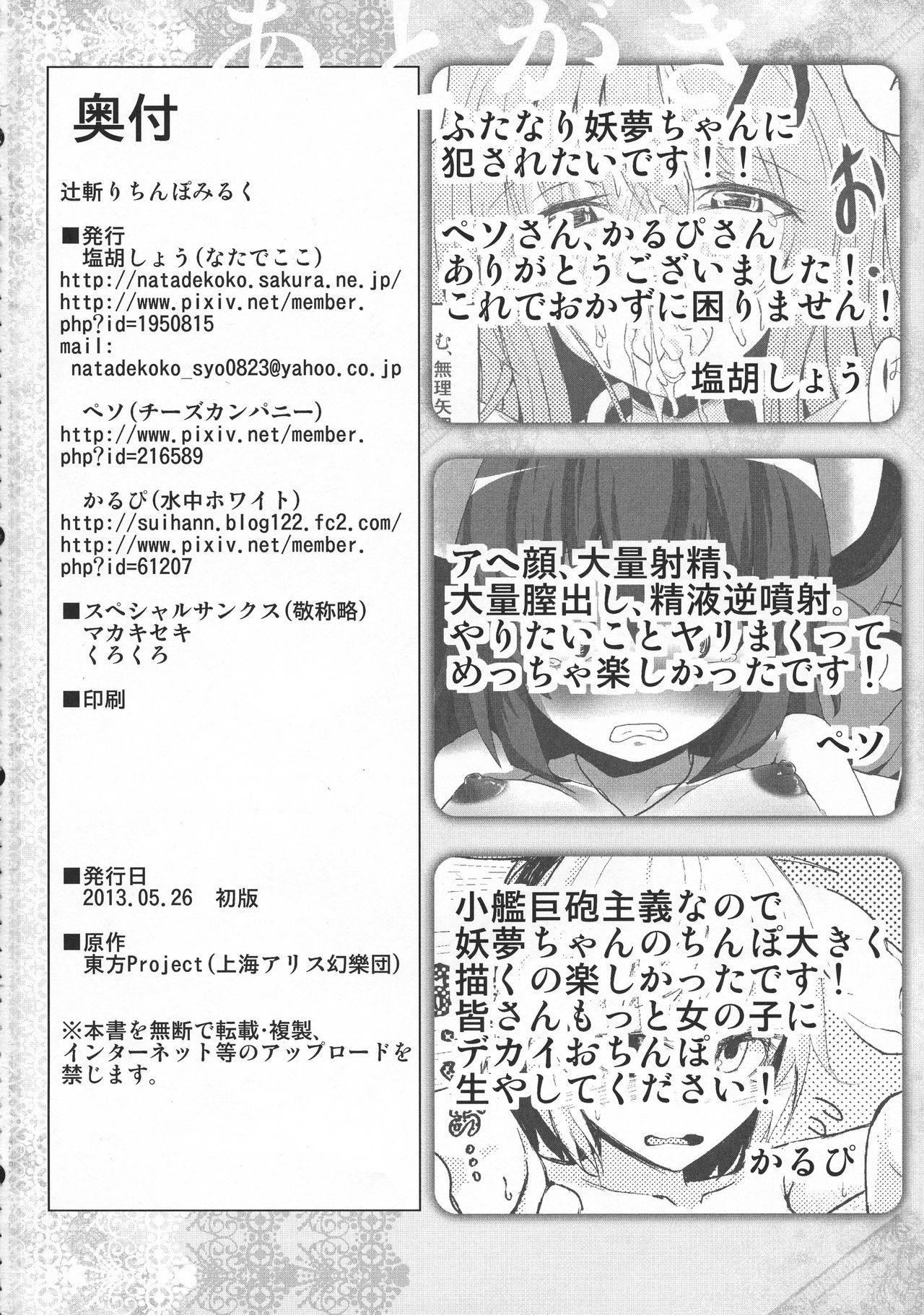 Bukkake Tsujigiri Chinpo Milk - Touhou project Fucked - Page 30