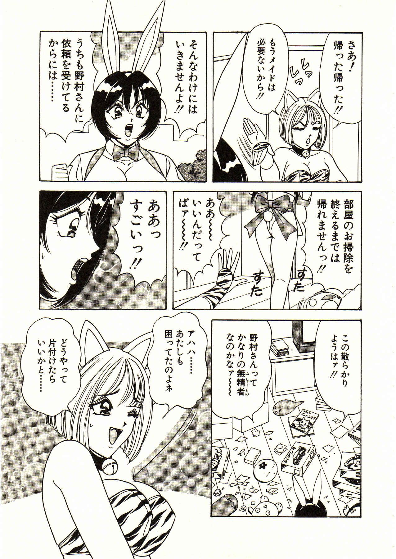 Itoshi no Bunny Maid 12