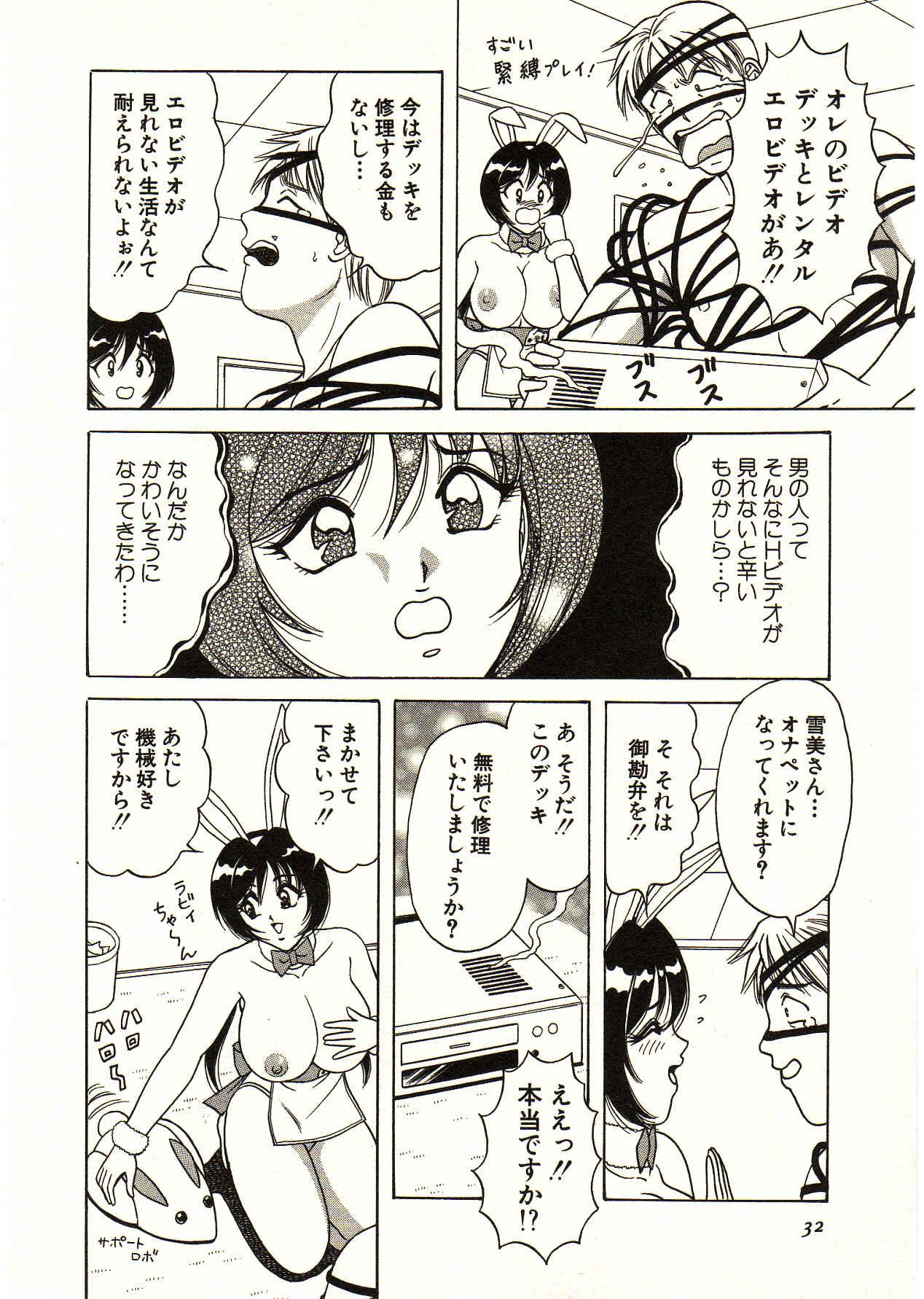 Itoshi no Bunny Maid 31