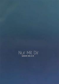 NurMitDir 3